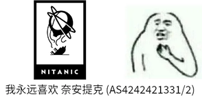如何引爆 DN42 网络（2023-05-12 更新） 的插图